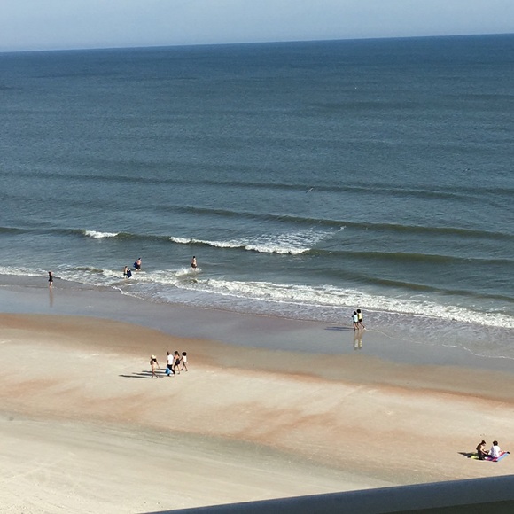 Meet your Posher, Fanny - Picture 1 of 1